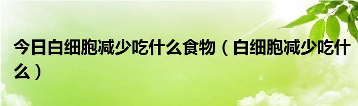 今日白细胞减少吃什么食物(白细胞减少吃什么)
