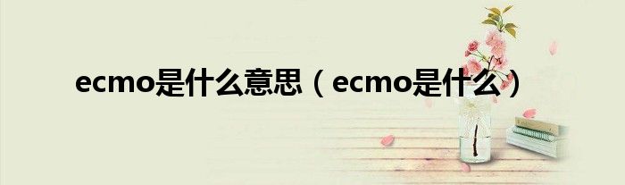 ecmo是什么意思(ecmo是什么)