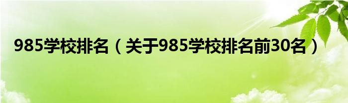 985学校排名（关于985学校排名前30名）