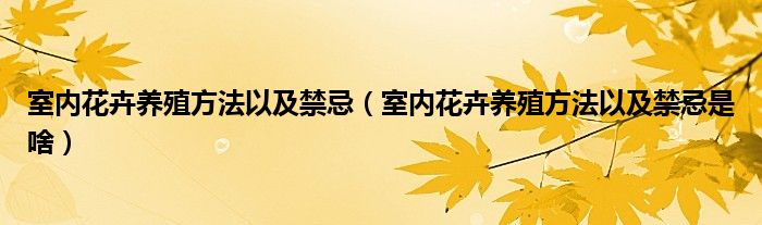 室内花卉养殖方法以及禁忌（室内花卉养殖方法以及禁忌是啥）