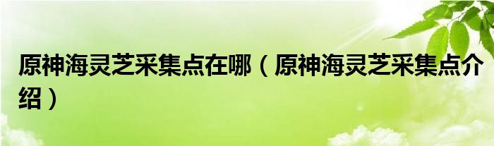 原神海灵芝采集点在哪(原神海灵芝采集点介绍)