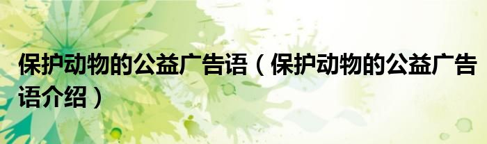 保护动物的公益广告语(保护动物的公益广告语介绍)