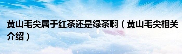 黄山毛尖属于红茶还是绿茶啊(黄山毛尖相关介绍)