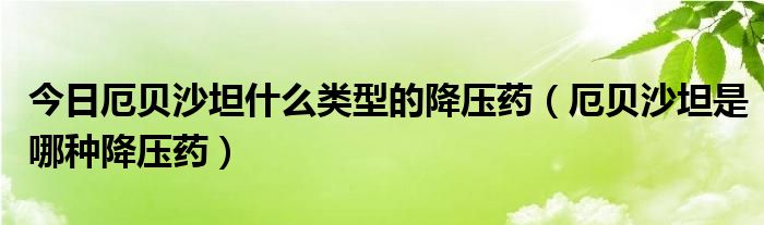 今日厄贝沙坦什么类型的降压药(厄贝沙坦是哪种降压药)