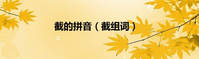 截的拼音（截组词）