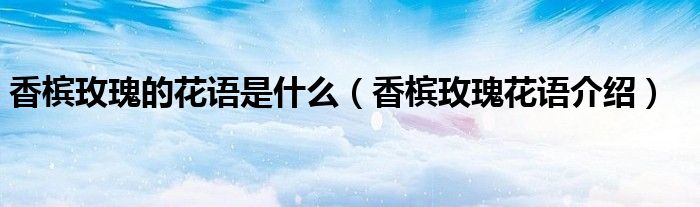 香槟玫瑰的花语是什么(香槟玫瑰花语介绍)