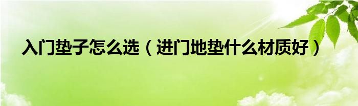 入门垫子怎么选(进门地垫什么材质好)