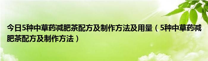 今日5种中草药减肥茶配方及制作方法及用量(5种中草药减肥茶配方及制作方法)
