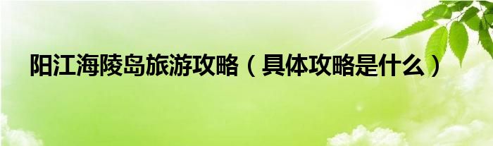 阳江海陵岛旅游攻略(具体攻略是什么)