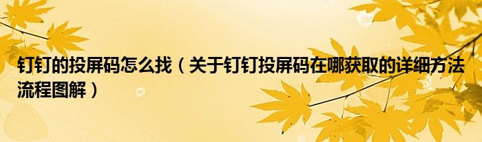 钉钉的投屏码怎么找(关于钉钉投屏码在哪获取的详细方法流程图解)