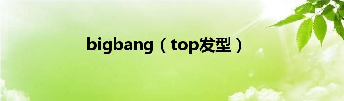 bigbang(top发型)