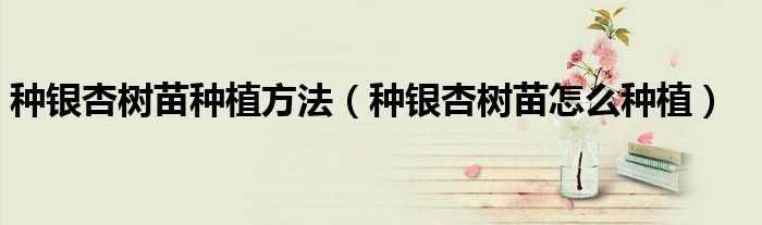 种银杏树苗种植方法(种银杏树苗怎么种植)