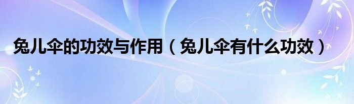 兔儿伞的功效与作用(兔儿伞有什么功效)