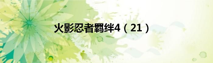 火影忍者羁绊4(21)