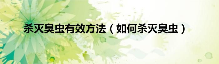 杀灭臭虫有效方法(如何杀灭臭虫)