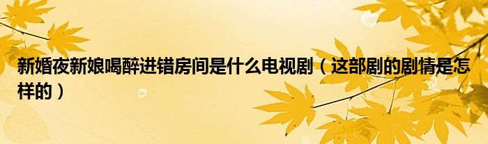 新婚夜新娘喝醉进错房间是什么电视剧(这部剧的剧情是怎样的)