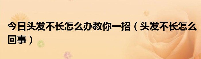 今日头发不长怎么办教你一招(头发不长怎么回事)