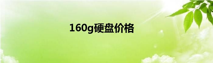 160g硬盘价格