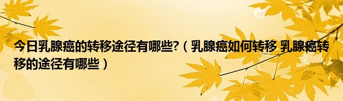 今日乳腺癌的转移途径有哪些?(乳腺癌如何转移 乳腺癌转移的途径有哪些)