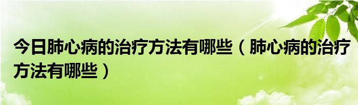 今日肺心病的治疗方法有哪些(肺心病的治疗方法有哪些)