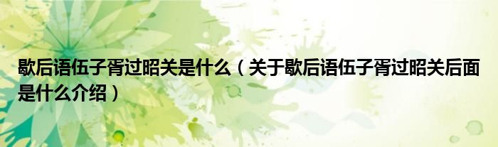 歇后语伍子胥过昭关是什么(关于歇后语伍子胥过昭关后面是什么介绍)
