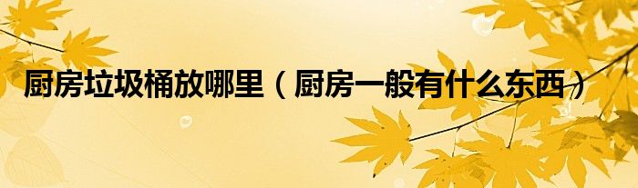 厨房垃圾桶放哪里(厨房一般有什么东西)