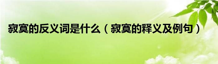 寂寞的反义词是什么(寂寞的释义及例句)