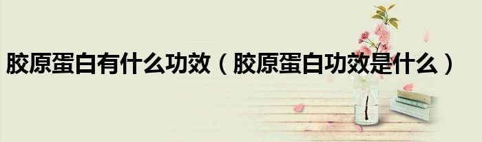 胶原蛋白有什么功效(胶原蛋白功效是什么)