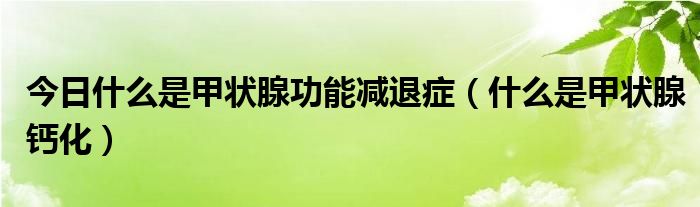 今日什么是甲状腺功能减退症(什么是甲状腺钙化)