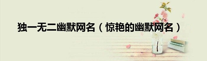 独一无二幽默网名(惊艳的幽默网名)