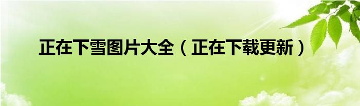 正在下雪图片大全(正在下载更新)