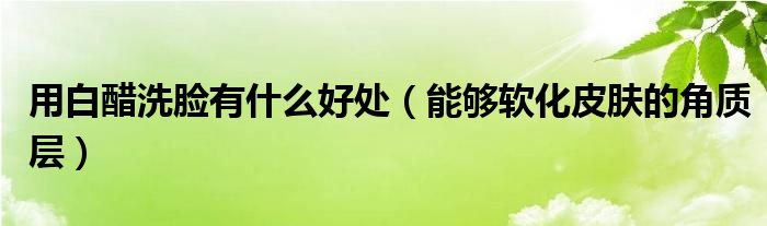 用白醋洗脸有什么好处(能够软化皮肤的角质层)