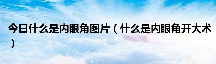 今日什么是内眼角图片(什么是内眼角开大术)