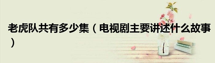 老虎队共有多少集（电视剧主要讲述什么故事）