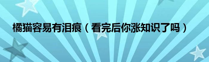 橘猫容易有泪痕(看完后你涨知识了吗)