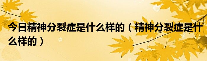 今日精神分裂症是什么样的(精神分裂症是什么样的)