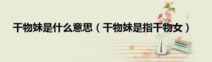 干物妹是什么意思(干物妹是指干物女)