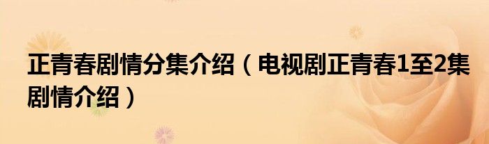 正青春剧情分集介绍(电视剧正青春1至2集剧情介绍)