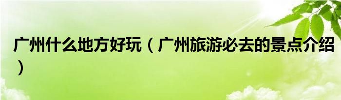 广州什么地方好玩(广州旅游必去的景点介绍)