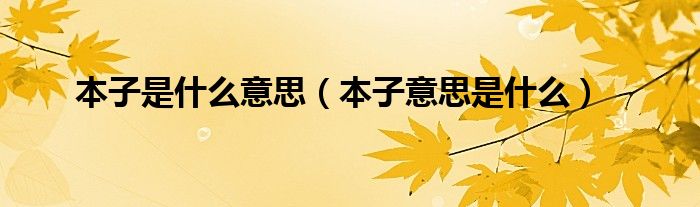 本子是什么意思（本子意思是什么）