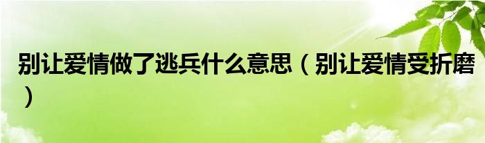 别让爱情做了逃兵什么意思(别让爱情受折磨)