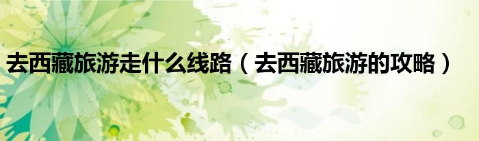 去西藏旅游走什么线路（去西藏旅游的攻略）