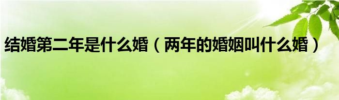 结婚第二年是什么婚(两年的婚姻叫什么婚)