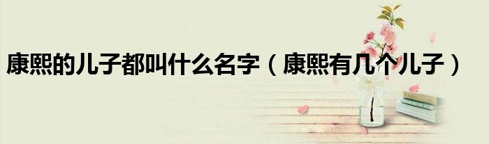 康熙的儿子都叫什么名字(康熙有几个儿子)