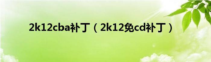 2k12cba补丁(2k12免cd补丁)
