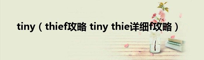 tiny(thief攻略 tiny thie详细f攻略)