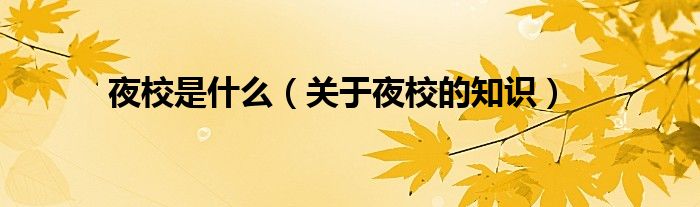 夜校是什么(关于夜校的知识)