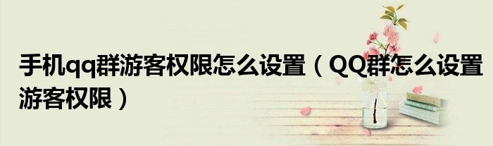 手机qq群游客权限怎么设置(QQ群怎么设置游客权限)