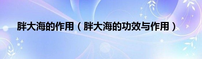 胖大海的作用(胖大海的功效与作用)
