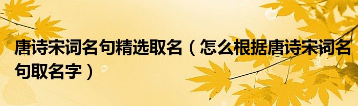 唐诗宋词名句精选取名(怎么根据唐诗宋词名句取名字)